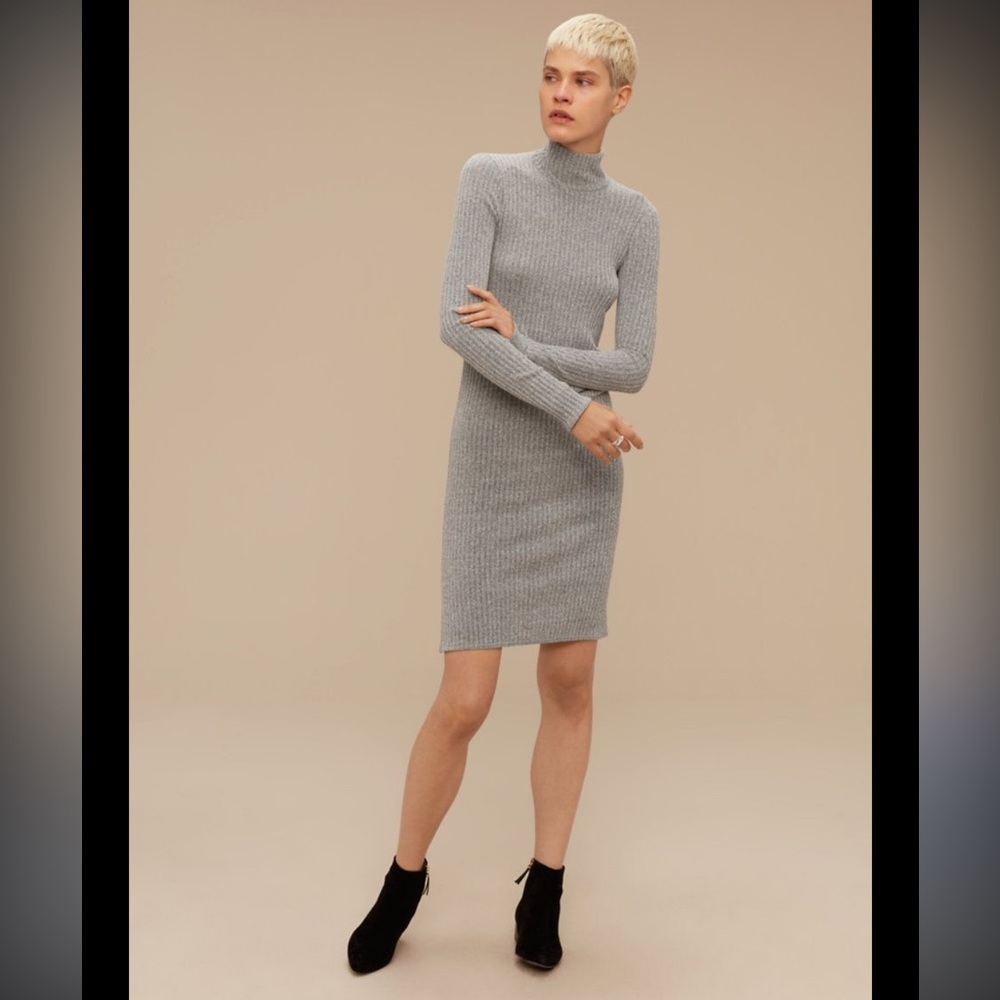 Wilfred Free Ribbed Turtleneck dress Small